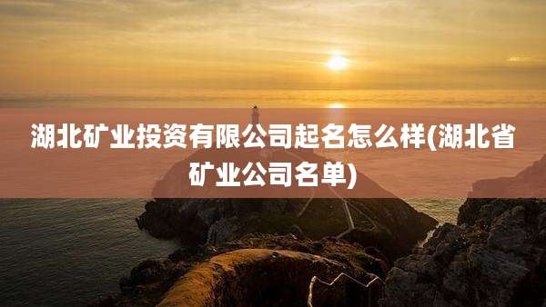 湖北矿业投资有限公司起名怎么样(湖北省矿业公司名单)