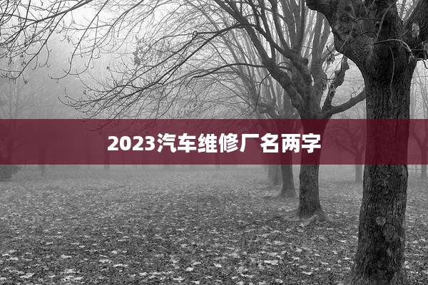 2023汽车维修厂名两字