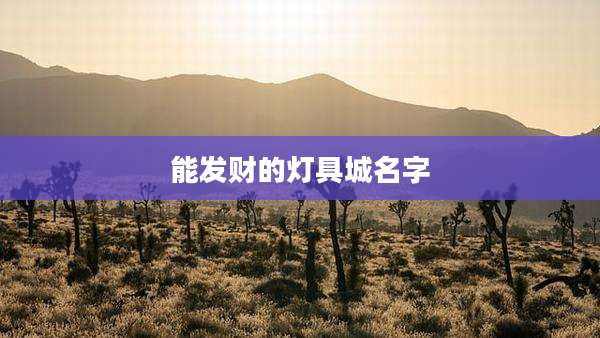 能发财的灯具城名字