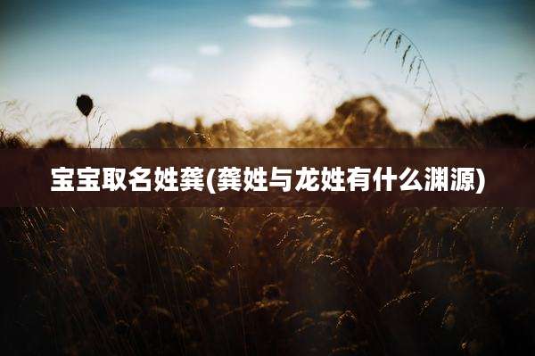 宝宝取名姓龚(龚姓与龙姓有什么渊源)