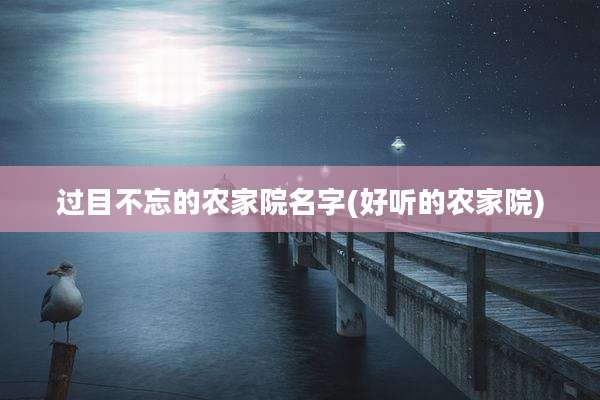 过目不忘的农家院名字(好听的农家院)