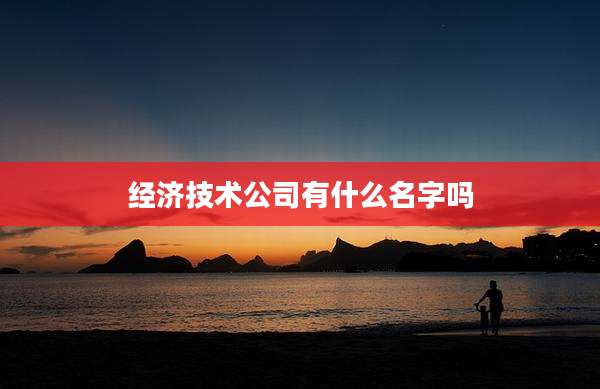 经济技术公司有什么名字吗