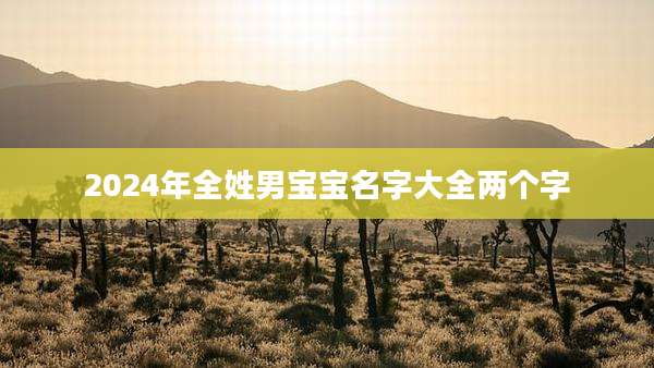 2024年全姓男宝宝名字大全两个字