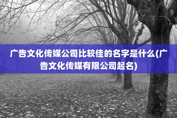 广告文化传媒公司比较佳的名字是什么(广告文化传媒有限公司起名)