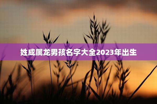 姓成属龙男孩名字大全2023年出生