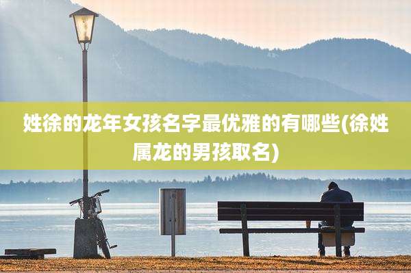 姓徐的龙年女孩名字最优雅的有哪些(徐姓属龙的男孩取名)