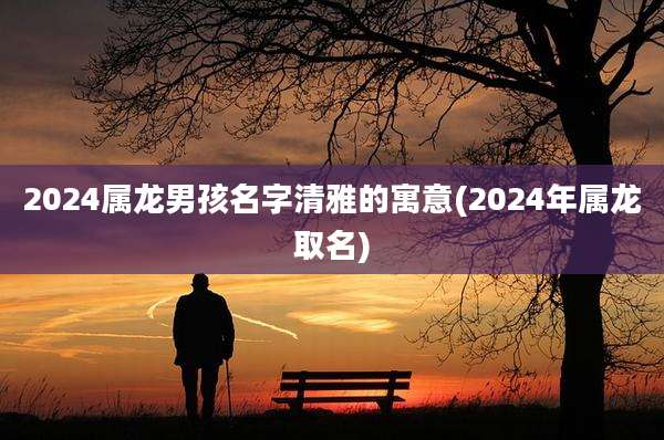2024属龙男孩名字清雅的寓意(2024年属龙取名)
