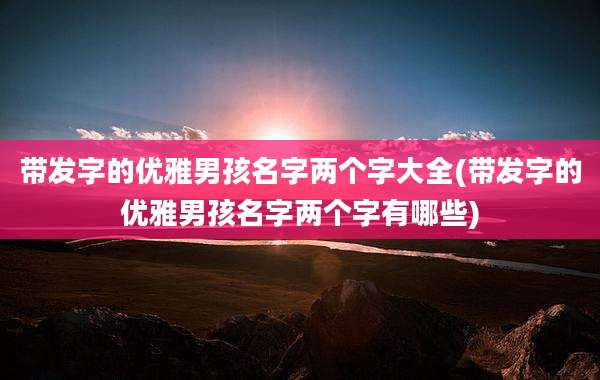 带发字的优雅男孩名字两个字大全(带发字的优雅男孩名字两个字有哪些)