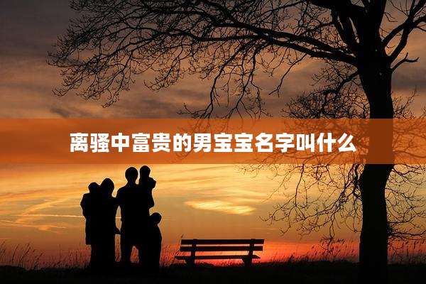 离骚中富贵的男宝宝名字叫什么