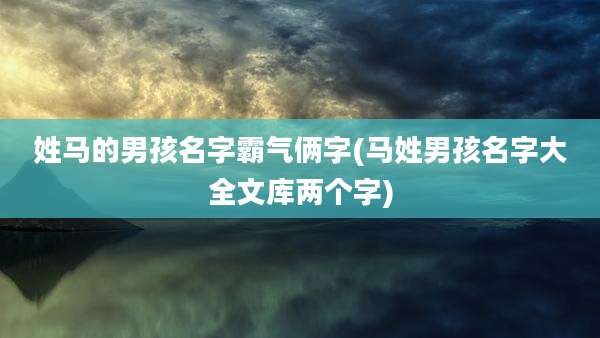 姓马的男孩名字霸气俩字(马姓男孩名字大全文库两个字)