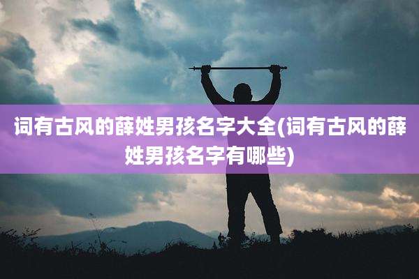 词有古风的薛姓男孩名字大全(词有古风的薛姓男孩名字有哪些)