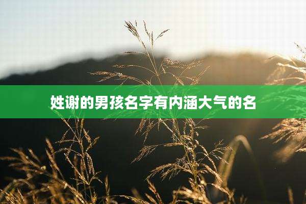姓谢的男孩名字有内涵大气的名