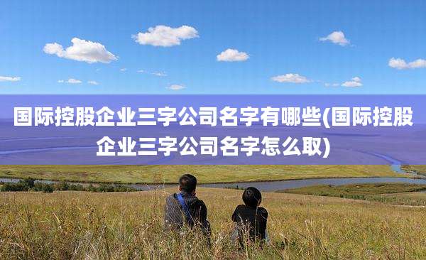 国际控股企业三字公司名字有哪些(国际控股企业三字公司名字怎么取)