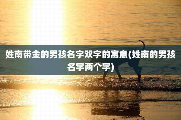 姓南带金的男孩名字双字的寓意(姓南的男孩名字两个字)
