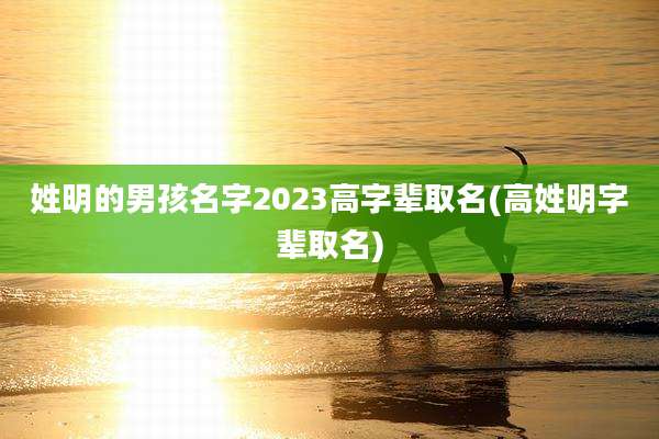 姓明的男孩名字2023高字辈取名(高姓明字辈取名)