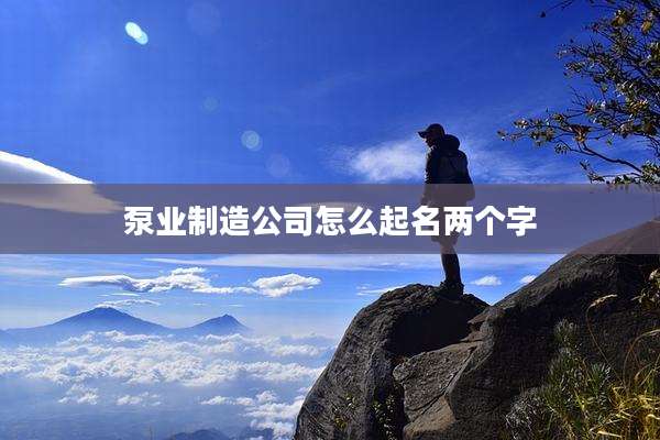 泵业制造公司怎么起名两个字