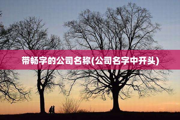 带畅字的公司名称(公司名字中开头)