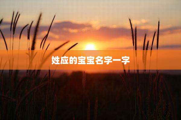 姓应的宝宝名字一字