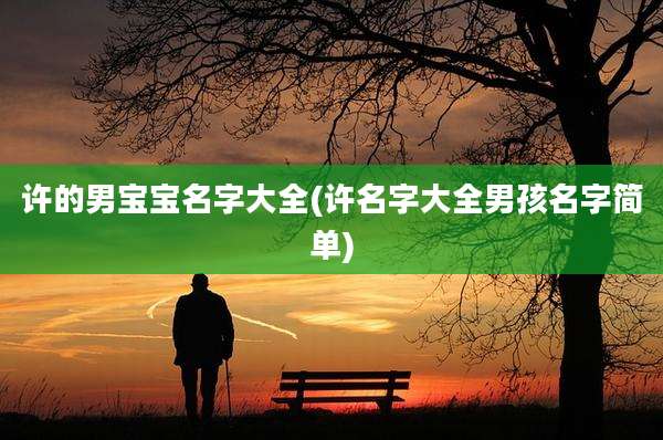许的男宝宝名字大全(许名字大全男孩名字简单)