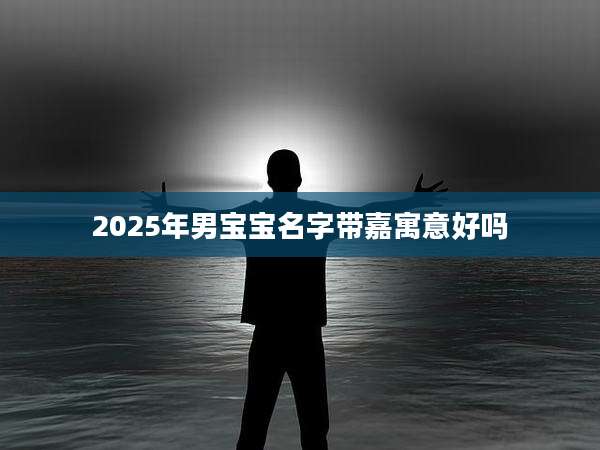 2025年男宝宝名字带嘉寓意好吗