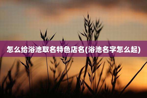 怎么给浴池取名特色店名(浴池名字怎么起)