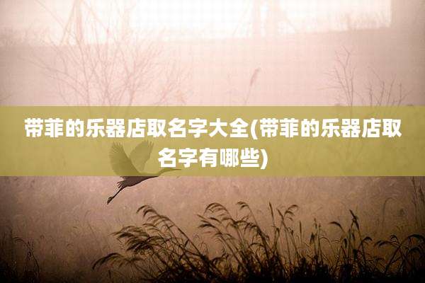 带菲的乐器店取名字大全(带菲的乐器店取名字有哪些)