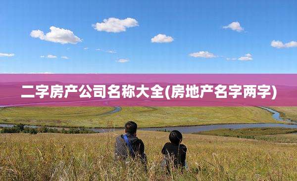 二字房产公司名称大全(房地产名字两字)