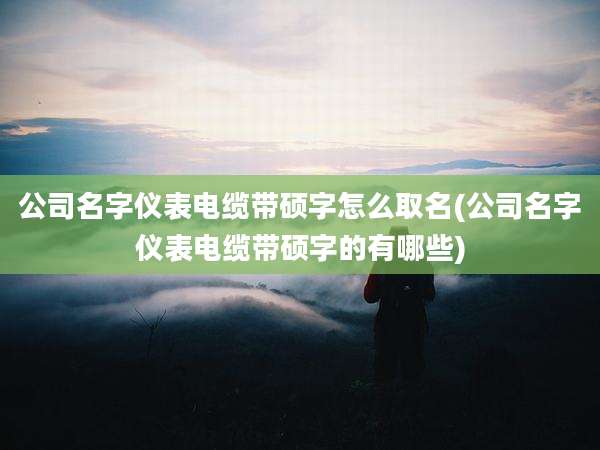 公司名字仪表电缆带硕字怎么取名(公司名字仪表电缆带硕字的有哪些)