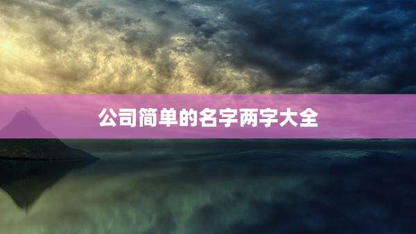 公司简单的名字两字大全