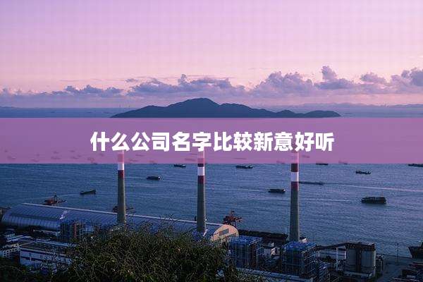 什么公司名字比较新意好听