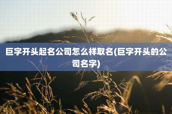 巨字开头起名公司怎么样取名(巨字开头的公司名字)