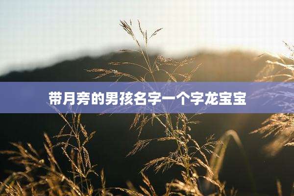 带月旁的男孩名字一个字龙宝宝