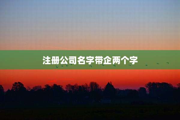 注册公司名字带企两个字