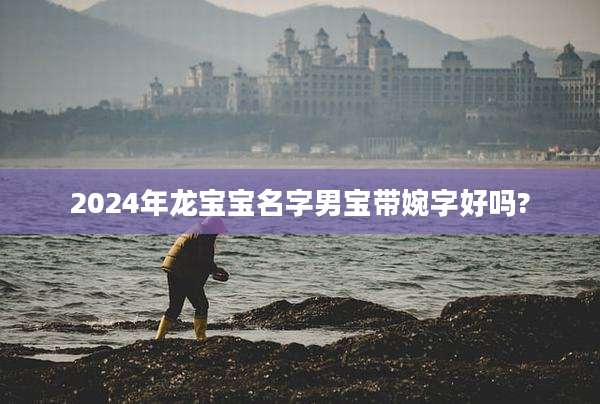 2024年龙宝宝名字男宝带婉字好吗?