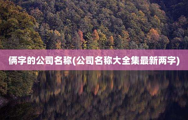 俩字的公司名称(公司名称大全集最新两字)