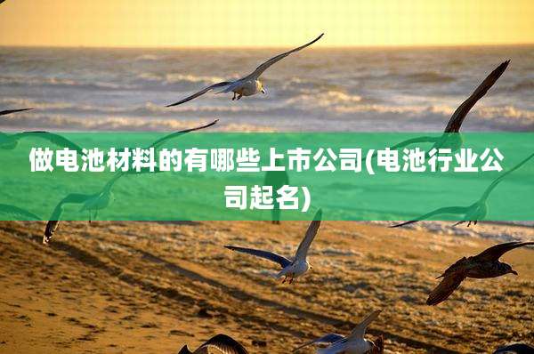 做电池材料的有哪些上市公司(电池行业公司起名)