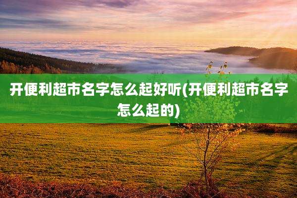 开便利超市名字怎么起好听(开便利超市名字怎么起的)