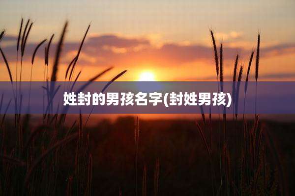 姓封的男孩名字(封姓男孩)