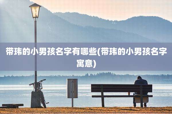 带玮的小男孩名字有哪些(带玮的小男孩名字寓意)