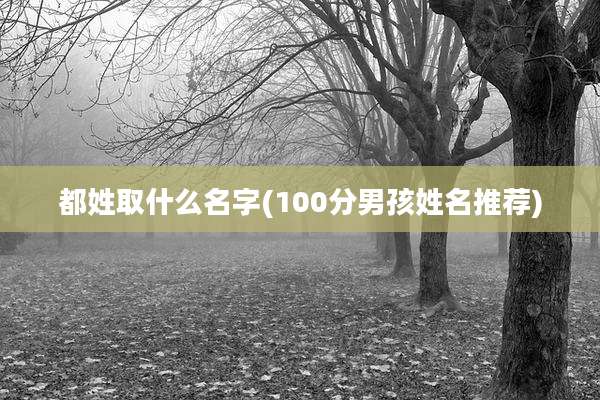 都姓取什么名字(100分男孩姓名推荐)