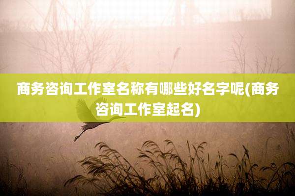 商务咨询工作室名称有哪些好名字呢(商务咨询工作室起名)
