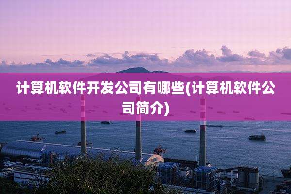 计算机软件开发公司有哪些(计算机软件公司简介)