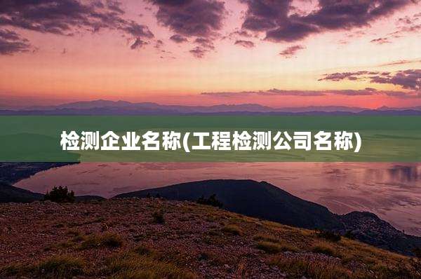 检测企业名称(工程检测公司名称)