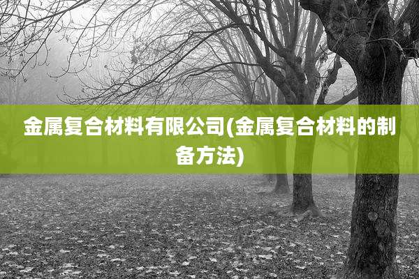 金属复合材料有限公司(金属复合材料的制备方法)