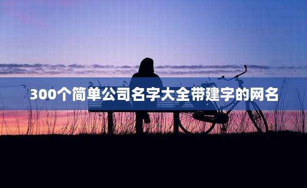 300个简单公司名字大全带建字的网名
