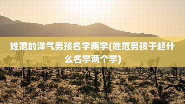姓范的洋气男孩名字两字(姓范男孩子起什么名字两个字)