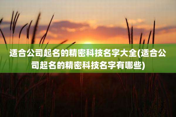 适合公司起名的精密科技名字大全(适合公司起名的精密科技名字有哪些)