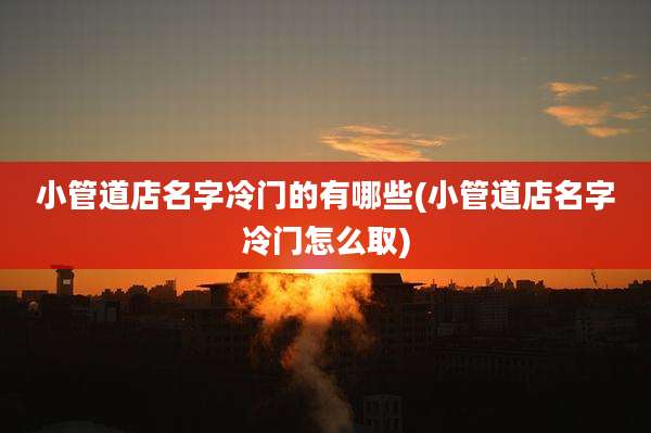 小管道店名字冷门的有哪些(小管道店名字冷门怎么取)