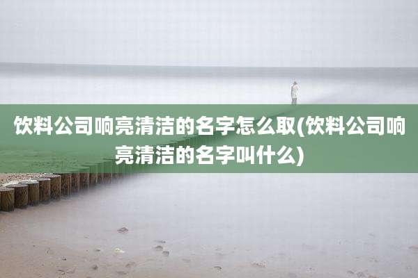 饮料公司响亮清洁的名字怎么取(饮料公司响亮清洁的名字叫什么)