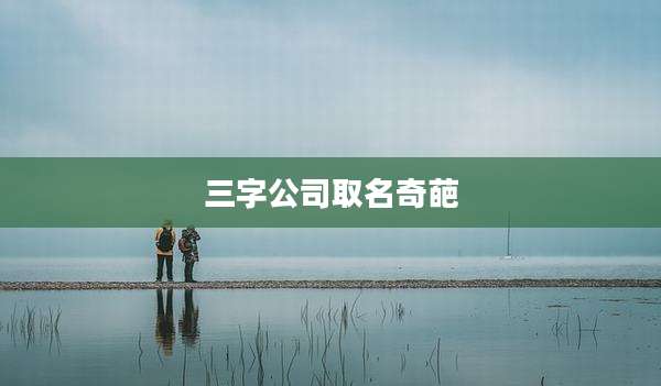 三字公司取名奇葩